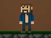 Minecraft 2D img Minecraft 2D